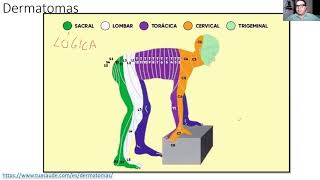 ¡Los dermatomas en 4 puntos ENARM [upl. by Emanuela]