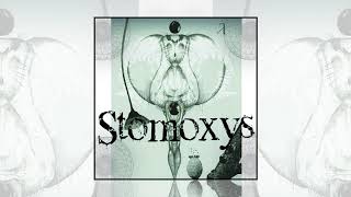 Stomoxys  No Te Dejes Humillar [upl. by Einatirb]