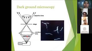 Dark ground microscopy [upl. by Astri]