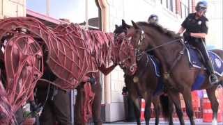 Joey of WarHorse meets Providence Mounted Command horses [upl. by Leeda]