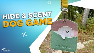 REVIEW Hide amp Scent Game for Dogs [upl. by Aralomo981]