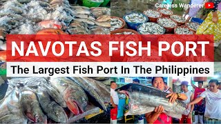 THE LARGEST FISHPORT IN THE PHILIPPINES  Navotas Fish Port amp Market [upl. by Bobby421]