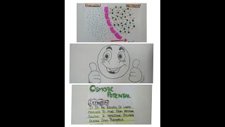 What is osmotic potential [upl. by Rowley]