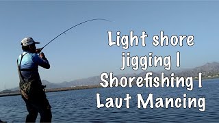 Light Shore Jigging  Rock fishing  Mantap Mancing ML Fishing  Barracuda and Squid [upl. by Eisso]