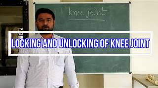 Locking and Unlocking of knee joint [upl. by Richey]