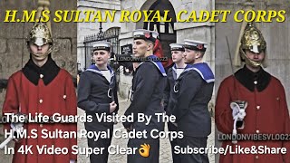 THE LIFE GUARDSVISITED BY THE HMS SULTAN ROYAL CADET CORPS vlog [upl. by Naziaf]