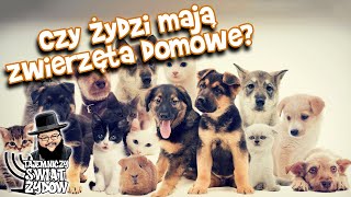 Zwierzęta domowe w żydowskim domu Czy żydzi mają psy Zwierzęta w Judaizmie Tajemniczy Świat Żydów [upl. by Sihtnyc313]