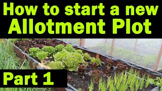 Start a new Allotment Plot  Where to start  Allotment Garden  Things you need to know  Part1 [upl. by Boelter]