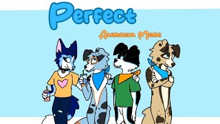 🐾 Perfect 🧋 Animation Meme [upl. by Evania]