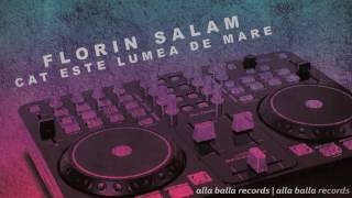 FLORIN SALAM  Cat e lumea de mare power rmx [upl. by Notyal791]