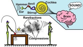 Physics 20 Sound and Sound Waves 1 of 49 What is Sound [upl. by Saltzman]