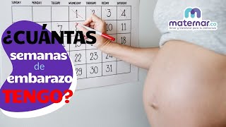 ¿Cómo calcular cuántas semanas de embarazo tengo  Maternarco [upl. by Ming]