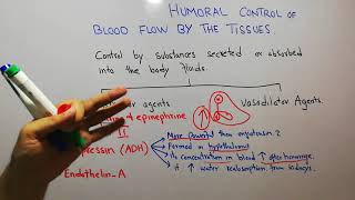 CVS physiology 109 Vasopressin Anti diuretic hormone ADH as a vasoconstrictor agent [upl. by Sinaj]