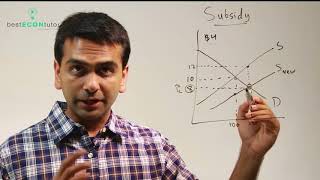 Microeconomics Subsidy [upl. by Aneala]