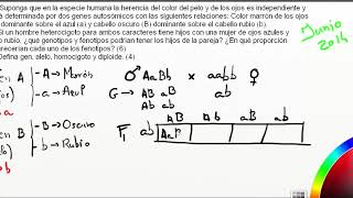 Problema de Genética Mendeliana  Selectividad Junio 2014 Castilla y León [upl. by Annirok]