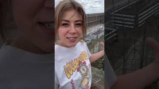 The gardening farm girl in Kansas💨 farmer garden howto weather fyp farmgirl funny [upl. by Hsatan]