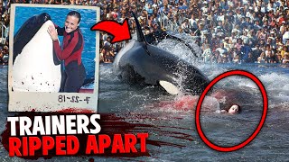 This Killer Orca DISMEMBERED 3 People In Front of Audience At Seaworld [upl. by Ringo875]