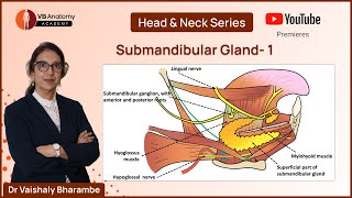 Submandibular Gland 1 Anatomy Unveiled with Dr Vaishaly Bharambe [upl. by Cirala]