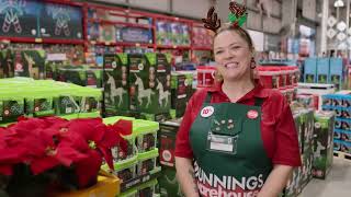 Bunnings Warehouse Ad 2023 [upl. by Celin]