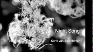 Night Song  Nachtzang by Karel van Steenhoven [upl. by Reffineg236]