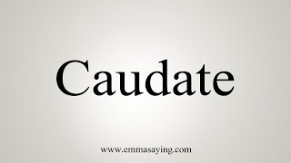 How To Say Caudate [upl. by Yrag]