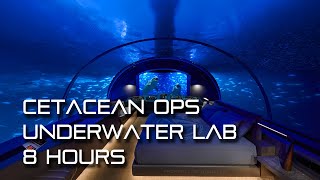 🎧 TNG Cetacean Ops 🐬 Underwater Lab Ambience whales water sounds white noise [upl. by Anneuq]