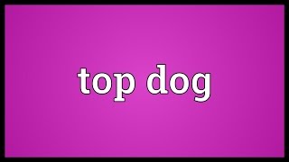 Top dog Meaning [upl. by Cirre524]