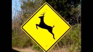 ORIGINAL  Please Move The Deer Crossing Sign [upl. by Ader]