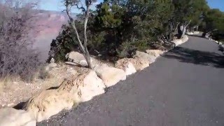 Stupidity at the Grand Canyon [upl. by Akirahc]