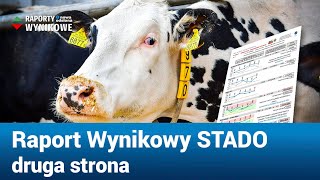 Raport Wynikowy STADO druga strona PFHBiPM [upl. by Ybocaj]