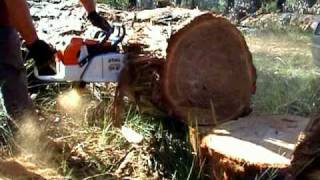 Stihl MS 880 36Bar Blocking Stringybark [upl. by Modesta]