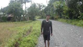 Plowing the rice fields in Inarawan Oriental Mindoro Philippines [upl. by Gilud]