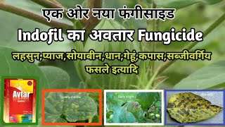 Indofil Avtar Fungicide।Zineb68Hexaconazole 4। इंडोफिल अवतार Fungicide।Doseprice।Best fungicide। [upl. by Bullough]