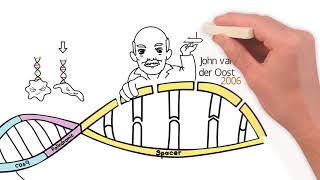 CRISPR History of Discovery [upl. by Goddord]