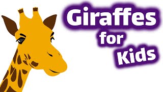 Giraffes for Kids [upl. by Ibok676]