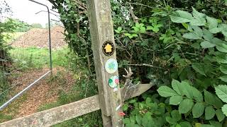 Warlingham Footpath 52  Caterham amp Warlingham Rights of Way [upl. by Ahcsat20]