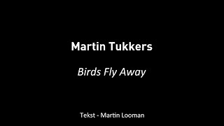 Martin Tukkers  Birds Fly Away [upl. by Jaclyn549]