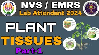 nvs lab attendant science classes 2024  plant tissue biology  non teaching exam date admit card [upl. by Aicemaj]