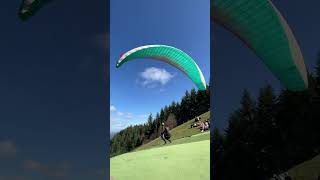 A dog is enjoying paragliding thanks to this expert paraglider [upl. by Kenlee]