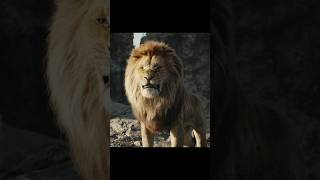 Mufasa Save Simba The Loin King🐯 ENJOYABLE shortfeed [upl. by Gabriellia]