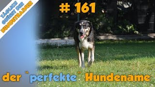 TGH 161  der quotperfektequot Hundename  worauf du achten solltest [upl. by Borreri]