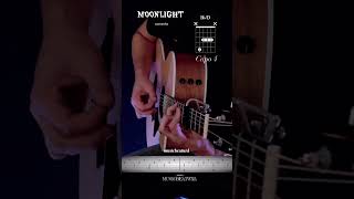 Moonlight Sonata  Guitar tutorial  Guitar version  fingerstyle [upl. by Wallinga11]