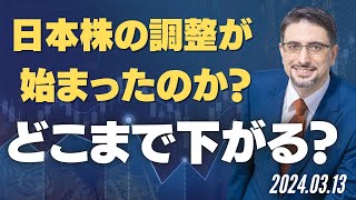 日本株の調整が始まったのか？どこまで下がる？ [upl. by Lipson620]