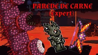 Como derrotar o Parede de Carne Wall of Flesh  Terraria [upl. by Percy]