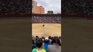 Eusebio Sacristán ‘Use’ en la final del concurso en Castellón toros fiesta toro final taurino [upl. by Ojyllek]