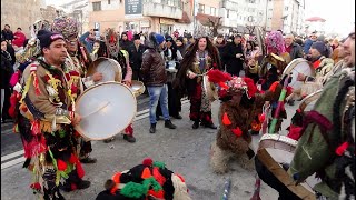 Urșii din VânătoriNeamț Târgu Neamț Moldova România [upl. by Hazlip]