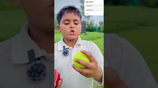 Leather bat vs tennis bat🔥🔥cricket viralvideo vlog youtube cricketwithvishal [upl. by Annairdna]