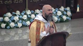 ♱ English Gospel and Homily 2nd Sunday of Apostles 5262024 [upl. by Antonio747]