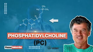 Phosphatidylcholine [upl. by Eedyah]