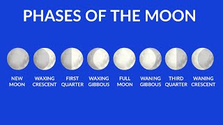 Phases of the Moon  Understanding Moon Phases  Video for kids [upl. by Haseena]